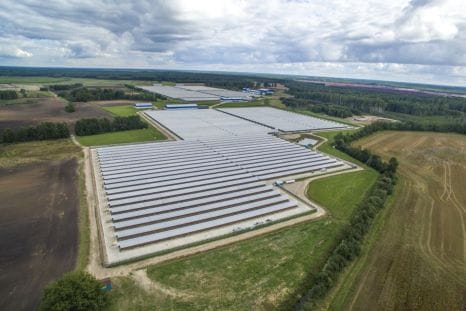 Baltic Devon Mink fur farm in Latvia