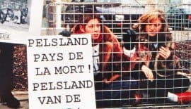 Pelsland bankrupt