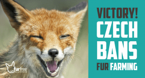 Czech bans fur farming